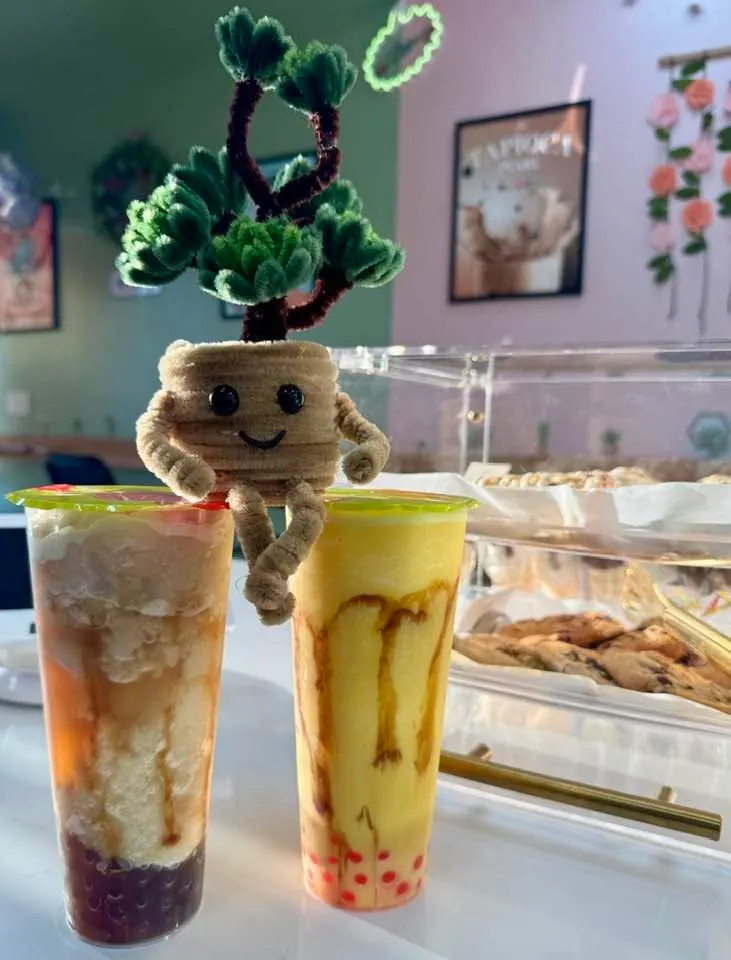 Two drinks with a handmade crochet plant